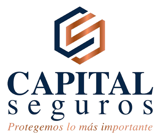 logo seguros capital removebg preview logo seguros capital removebg preview